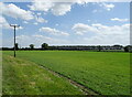 Crop field, Hatton