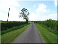 Road near Briars Farm