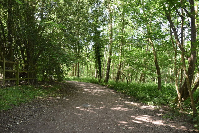 Round Bewl Water path © N Chadwick :: Geograph Britain and Ireland