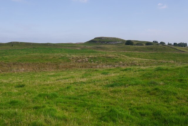 Pasture near Hill of Barnaigh
