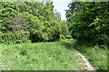 Footpath off Old Wardsdown