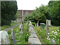 Graveyard wall, Fittleworth