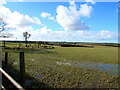 February 2016 view of a field in Johnston, Pembrokeshire