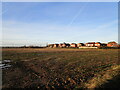 Prepared field on the edge of Newark