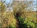 Footpath to the Trent and Newark