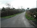 Wharfe Lane, Netherby