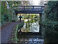 The Chesterfield Canal in Retford