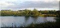 Pond, Lea Valley Country Park