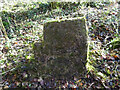 ST9898 : Boundary stone, Kemble/Coates by Mr Red