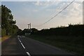 TL6254 : Weston Colville Road leaving Brinkley by David Howard