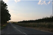 TL5552 : Cambridge Road near Great Abington by David Howard