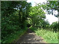 Bridleway on disused railway, Walkerville