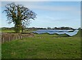 Caswell Solar Farm