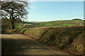 Bank by lane at Barkingdon