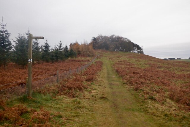 On Chester Hill, Lauder