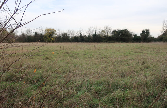 Field off Mills Lane, Longstanton