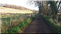 Bridleway and drive heading to Caversham