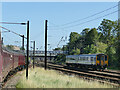 Sprinter passing Holgate sidings