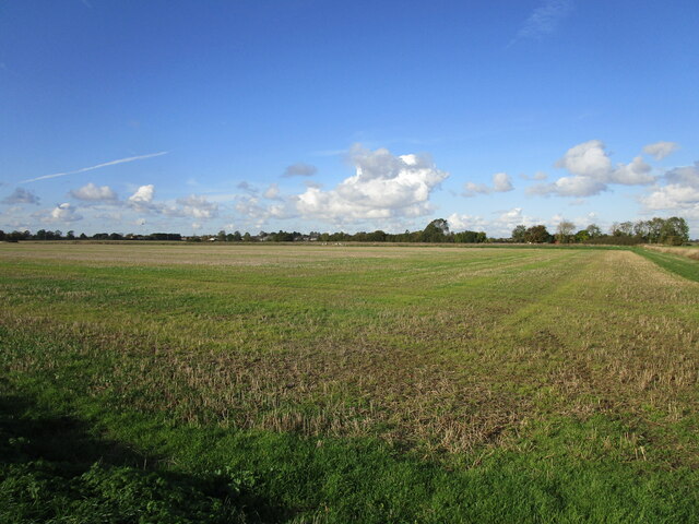 Subble field near Little Wisbeach