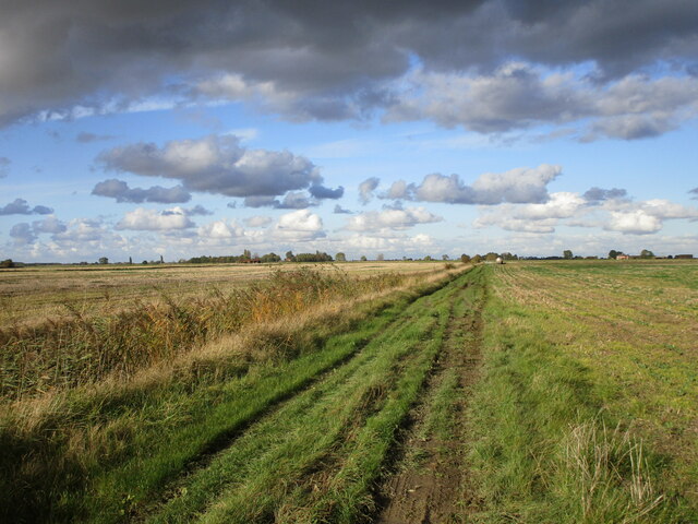 Farm track, Aslackby Fen