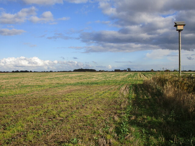 Stubble field and owl box, Aslackby Fen