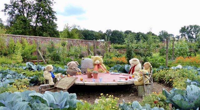 Teddy Bears' picnic