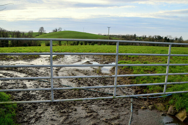 Muddy field behind a gate, Dunwish