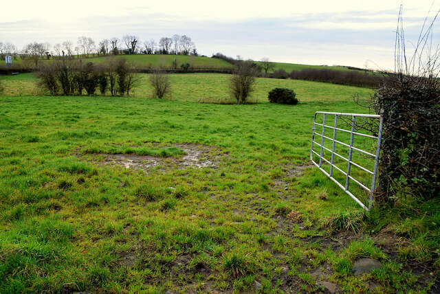 An open field, Dunwish