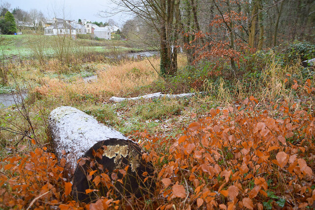 A frost covered log, Cranny