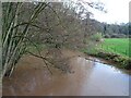 Swollen River Leadon