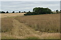 Footpath towards Burgh Farm