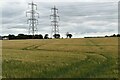 TM2352 : Pylons and ripening barley crop, Burgh by Simon Mortimer