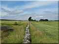 Stone wall separating crop fields