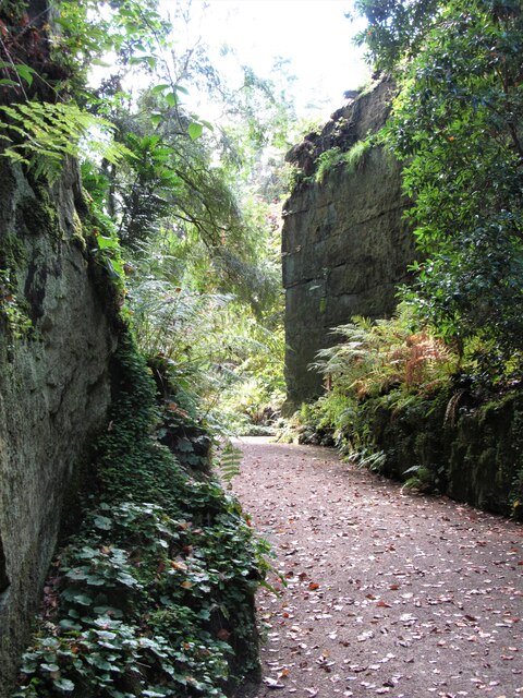 Rock garden, Belsay Hall