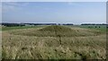 SU1142 : Disc barrow near Stonehenge by Sandy Gerrard