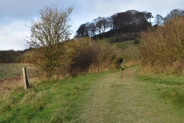 Path climbing up toward Cockey Down © David Martin cc-by-sa/2.0 ...