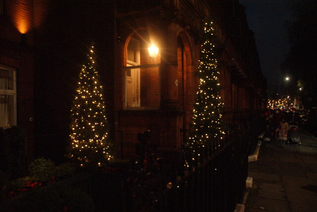 View of Christmas trees in the garden of The Sloane Club from Lower Sloane Street