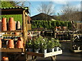 Avon Mill Garden Centre