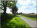 National Cycle Route 71, Low Hutton