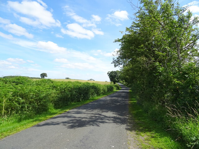 Mickle Mires Plantation, Richmondshire - area information, map, walks ...