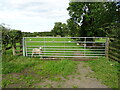 Field entrance off National Cycle Route 71