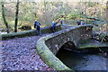 Pont ger Melin Gelligron / Bridge at Gelligron Mill