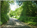 Lane towards Leafield, Fordwells