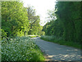 Lane towards Leafield