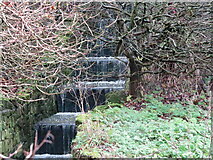 NZ3571 : Surface Water Inlet (Cascade), Marden Quarry Park, Whitley Bay by Geoff Holland