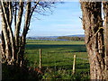 Pasture, seen from lay-by, B4245 approaching Caldicot