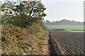 Footpath along field boundary