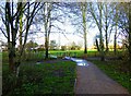 SO9470 : Footpath in Sanders Park leading to footbridge, Bromsgrove, Worcs by P L Chadwick