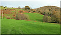 Hillside near Plumley