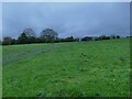 Footpath from Woodhall Road to Priesthorpe Lane